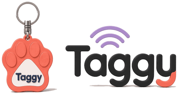 Taggy